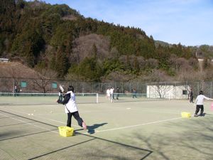 tenis